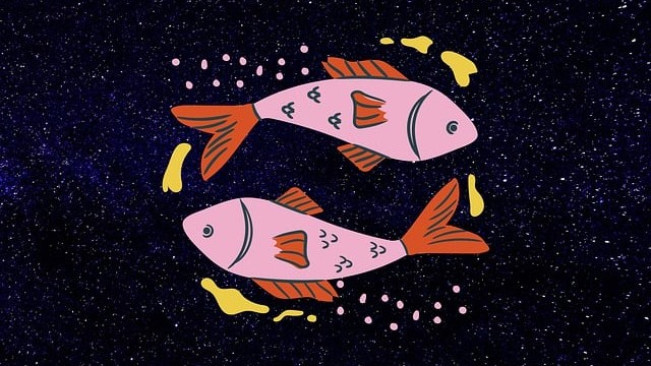 Zodiak Pisces. (Pixabay @lenahelfinger)